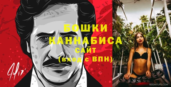 ГАЛЛЮЦИНОГЕННЫЕ ГРИБЫ Абаза