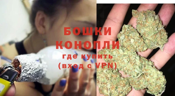 ГАЛЛЮЦИНОГЕННЫЕ ГРИБЫ Абаза
