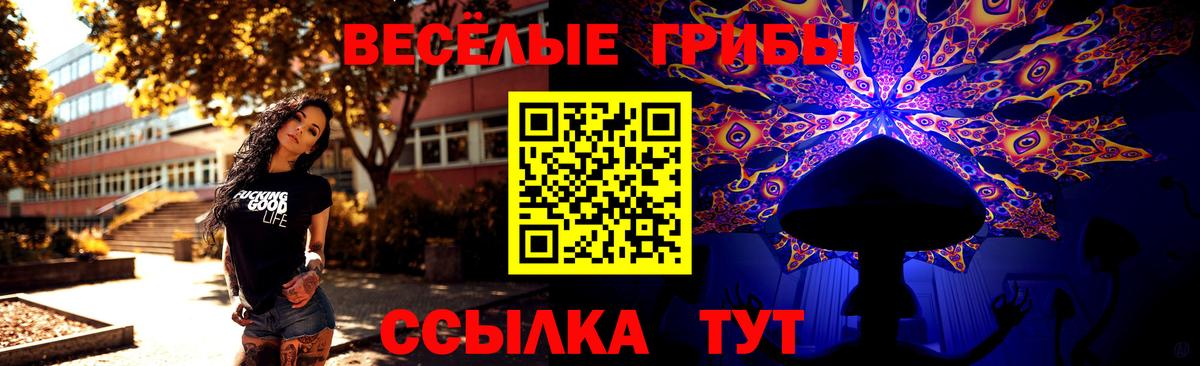 Шарыпово  Псилоцибиновые грибы ЛСД  Вход с VPN 